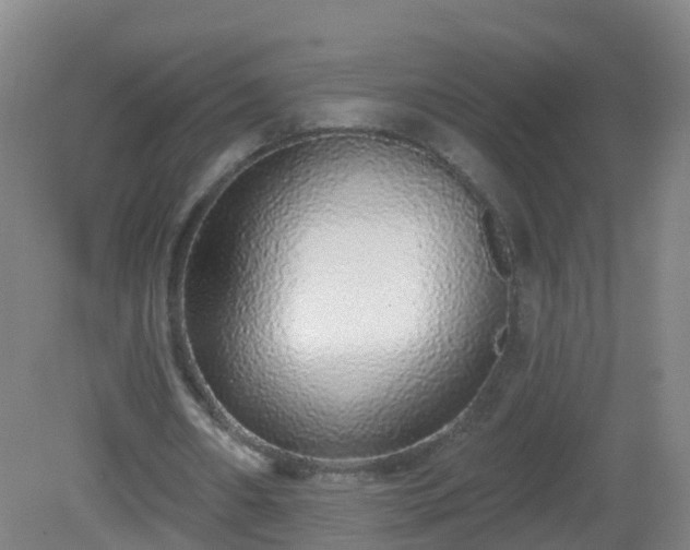 X0000081340482200701182024