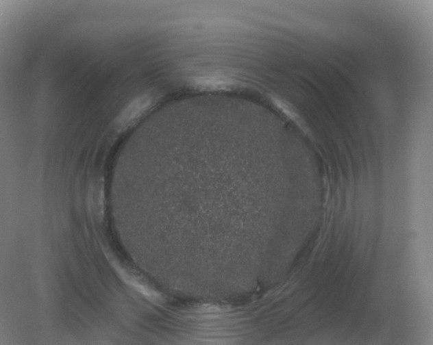 X0000081340494200701182024