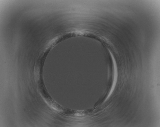 X0000081340496200701182024