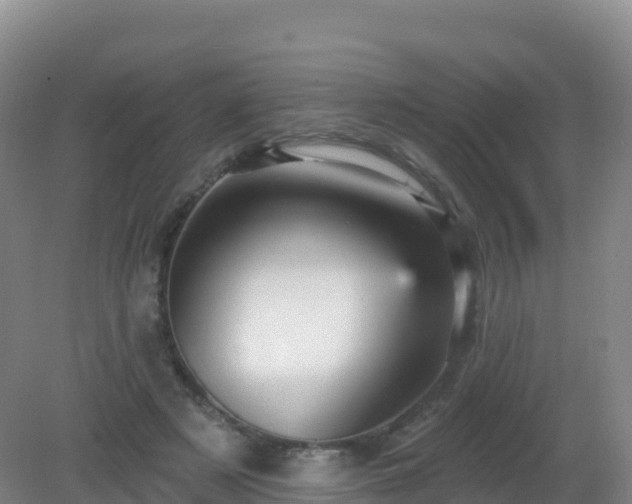 X0000081340497200701182024