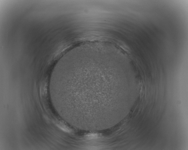 X0000081340499200701182024