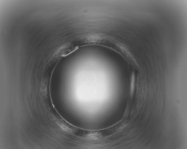X0000081340505200701182024