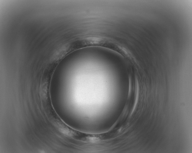 X0000081340509200701182024