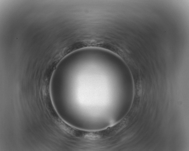 X0000081340515200701182024