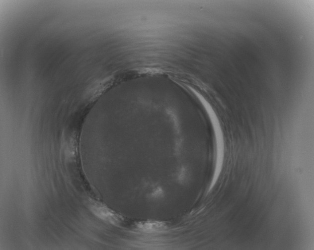 X0000081340517200701182024