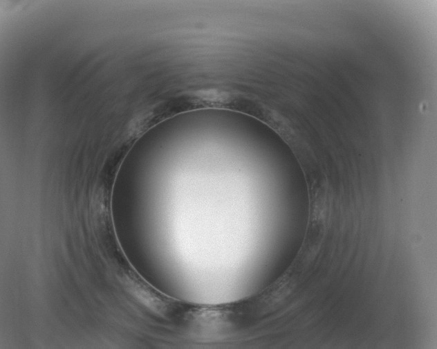 X0000081340518200701182024