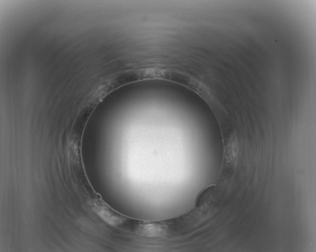 X0000081340522200701182024