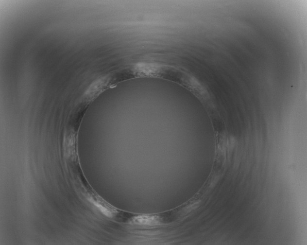X0000081340526200701182024
