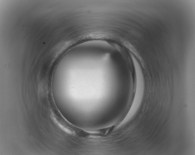 X0000081340530200701182023