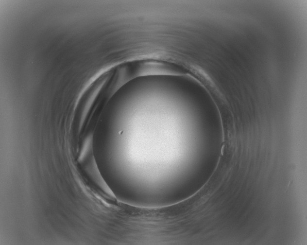 X0000081340532200701182023