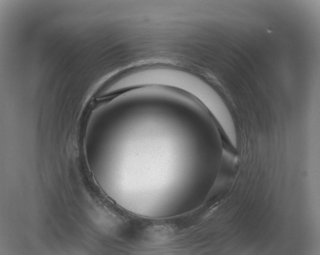 X0000081340536200701182023
