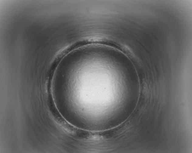 X0000081340543200701182023