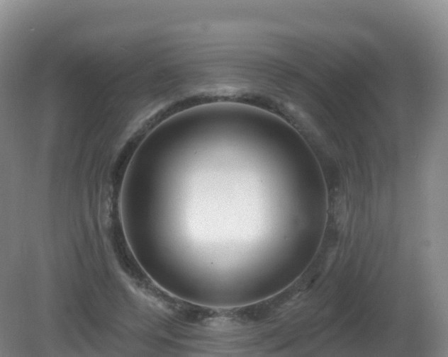 X0000081340544200701182023