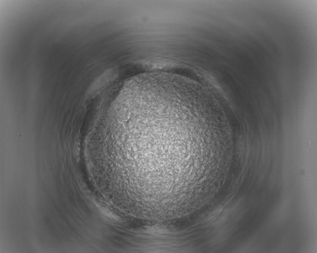 X0000081340545200701182023