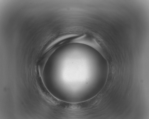 X0000081340546200701182023