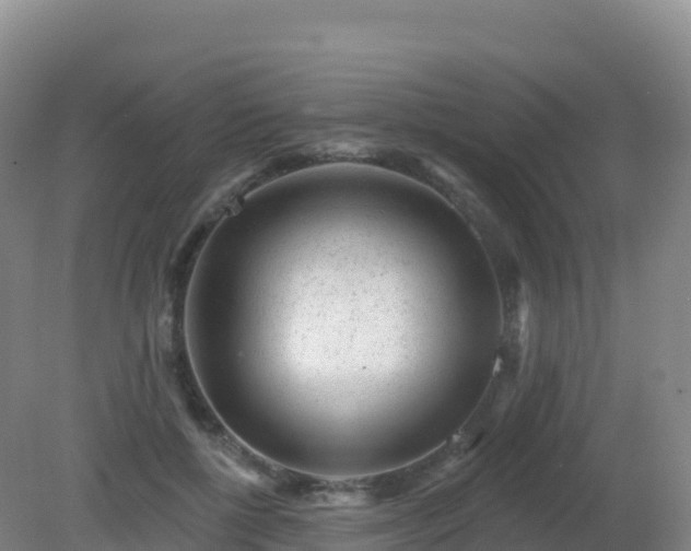 X0000081340552200701182023