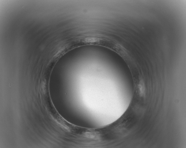 X0000081340556200701182023
