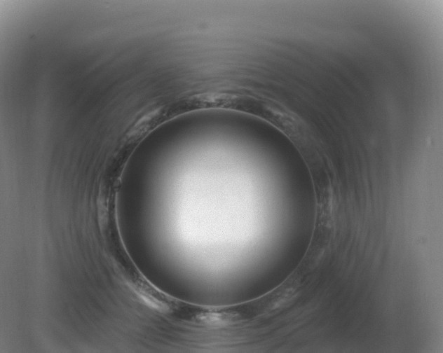 X0000081340558200701182023
