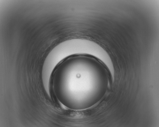 X0000081340559200701182023
