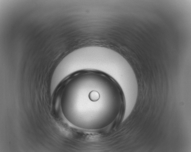 X0000081340560200701182023