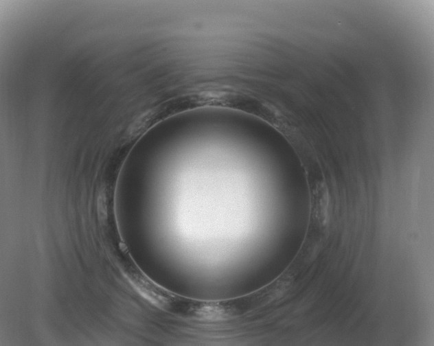 X0000081340562200701182023