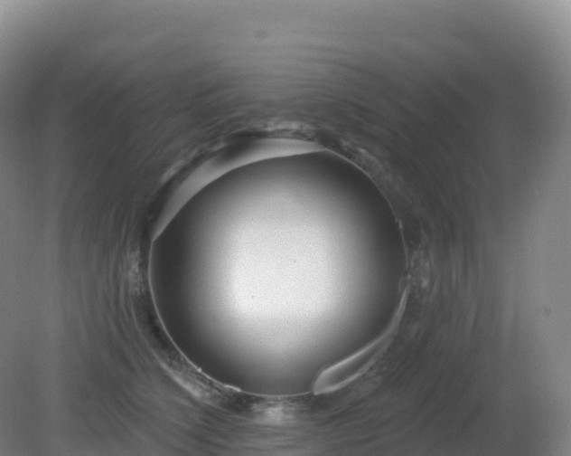 X0000081340564200701182023