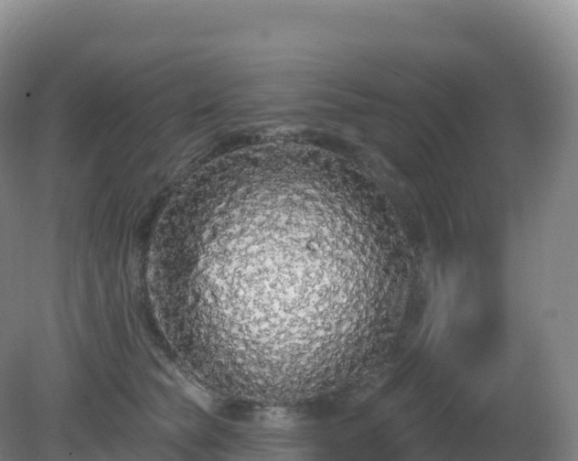 X0000081340565200701182023