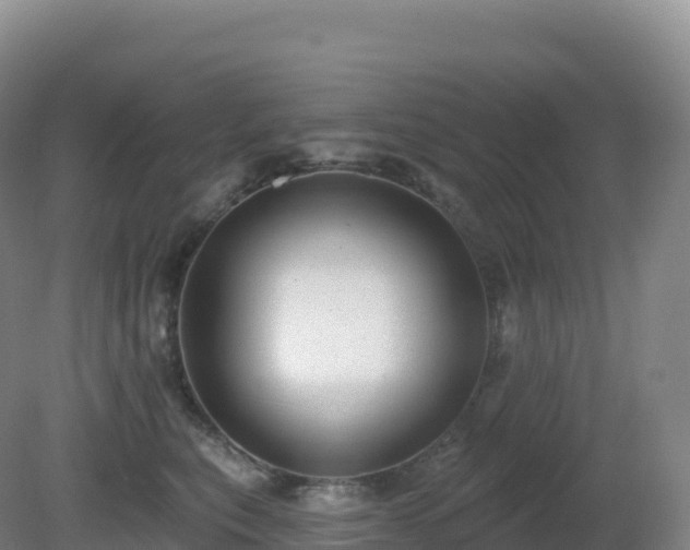 X0000081340567200701182024