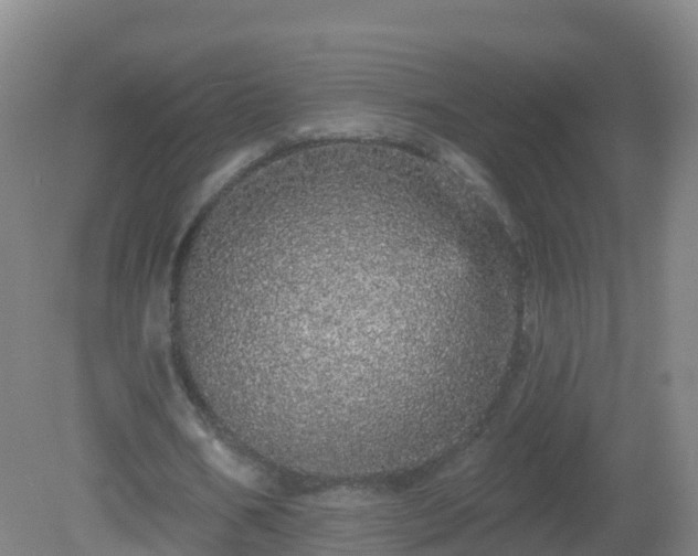 X0000081340578200701182023