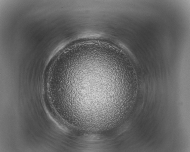 X0000081340582200701182023