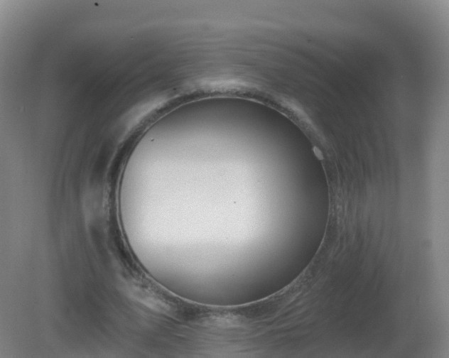 X0000081340583200701182023
