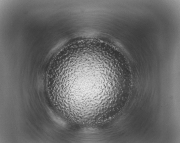 X0000081340586200701182023
