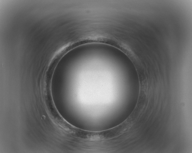 X0000081340587200701182023