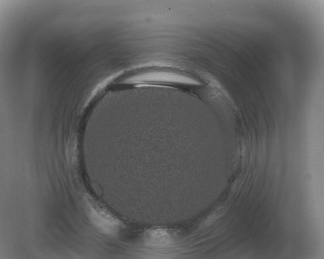 X0000081340588200701182023