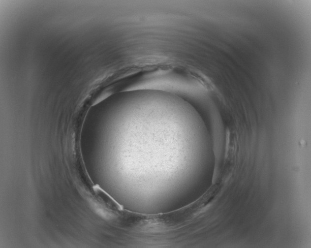 X0000081340589200701182023