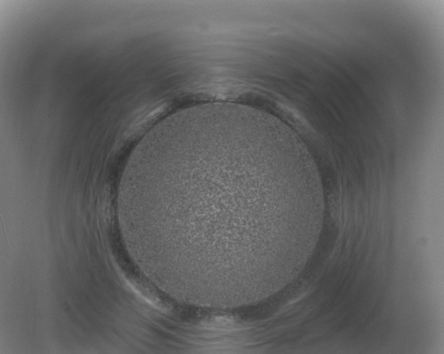 X0000081340594200701182023