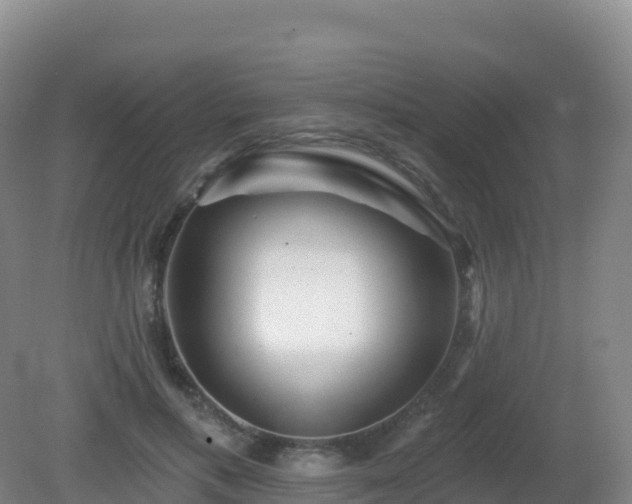 X0000081340597200701182023