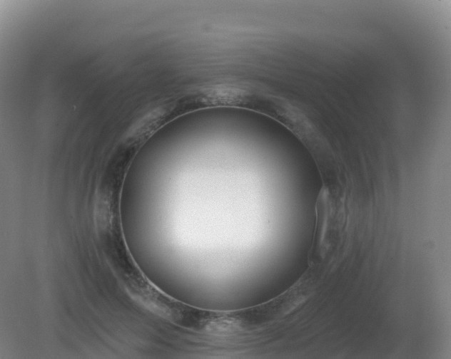 X0000081340599200701182022