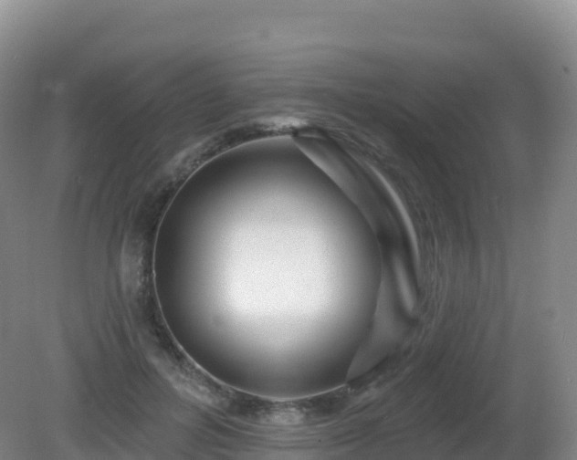 X0000081340600200701182022
