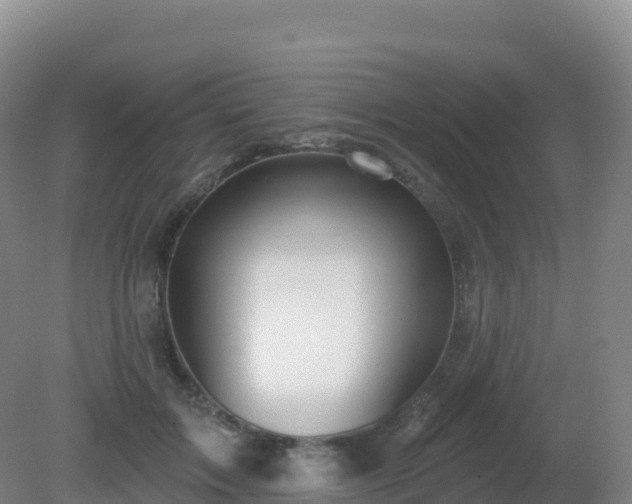 X0000081340603200701182022