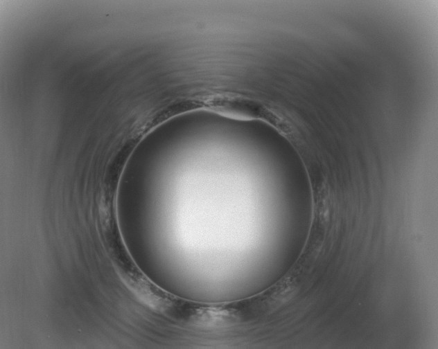 X0000081340607200701182022