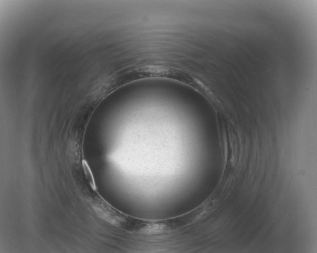 X0000081340609200701182022