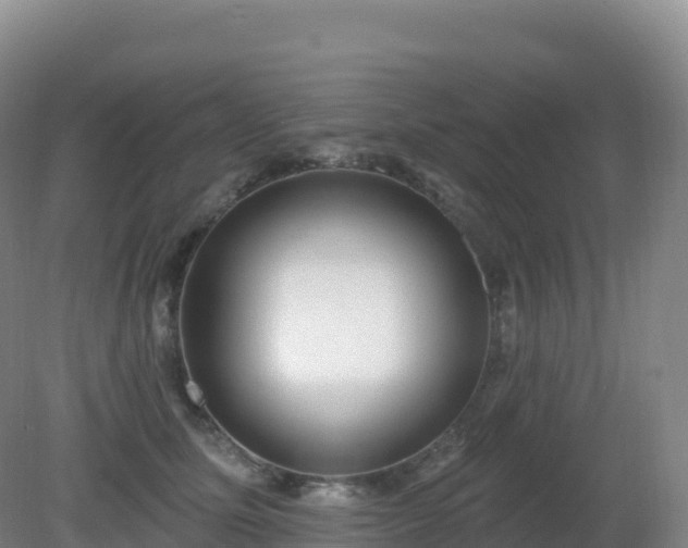 X0000081340611200701182022