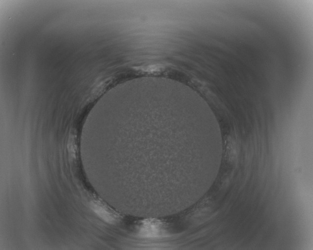 X0000081340612200701182022