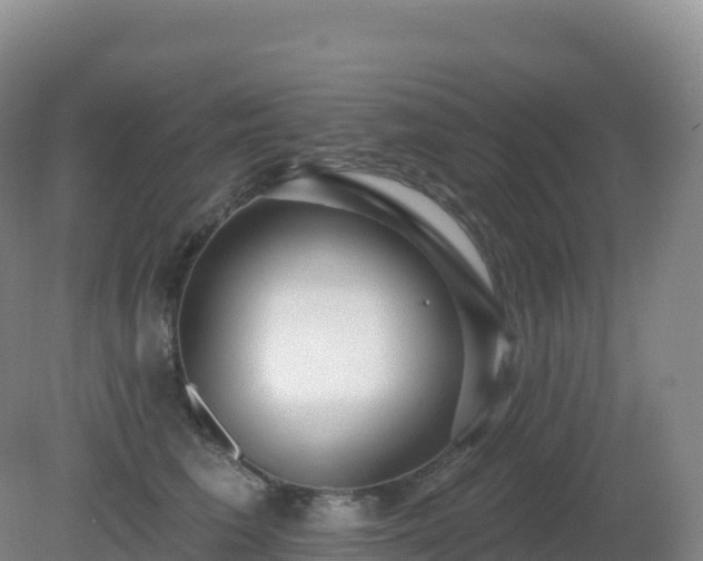 X0000081340613200701182022