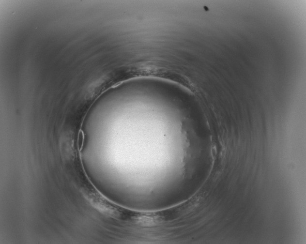 X0000081340615200701182022