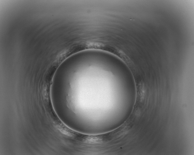X0000081340619200701182022