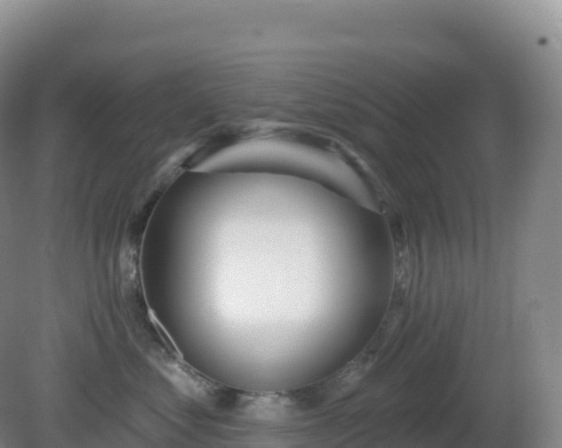 X0000081340621200701182022