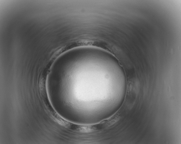 X0000081340623200701182022