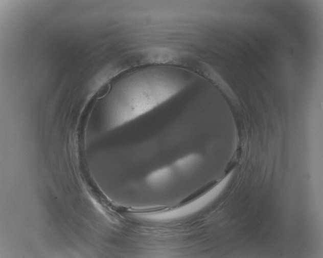 X0000081340626200701182021